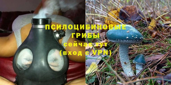 мдпв Долгопрудный