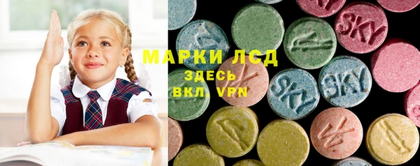 PSILOCYBIN Лагань