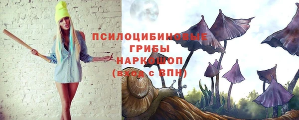 гидропоника Ладушкин