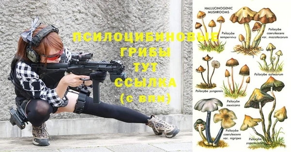 соль ск Липки