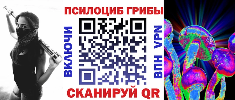 OMG зеркало  купить наркоту  Красный Сулин  Псилоцибиновые грибы прущие грибы 