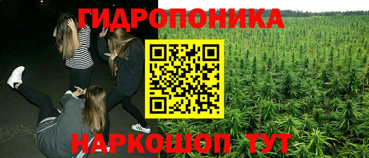Бошки марихуана Amnesia  Шишки марихуана марихуана  Красный Сулин  Вход с VPN 